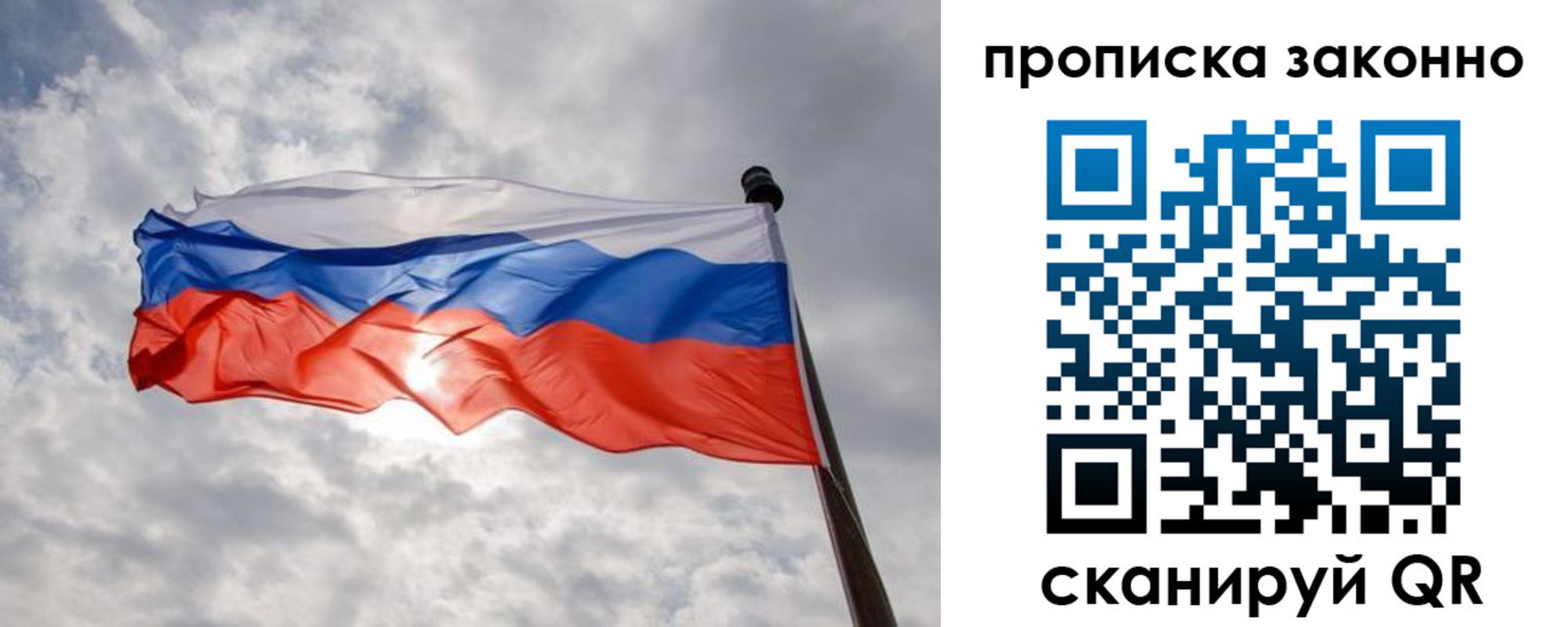 временная регистрация поиск в Коле